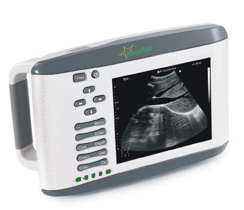 June 11, 2010 New palm B scanner SS-2(human) and SS-2V(Veterinary) launch