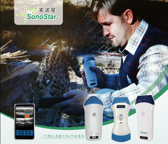 Wireless Palm Ultrasound Used in Veterinary