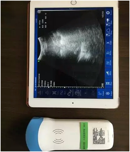 2023032517764400.png 1642582691115375.png